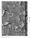 Fig. 34 - Zinc Oxide and Cobalt Oxide Nanostructures and Methods of Making Thereof