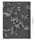Fig. 36 - Zinc Oxide and Cobalt Oxide Nanostructures and Methods of Making Thereof