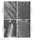Fig. 37 - Zinc Oxide and Cobalt Oxide Nanostructures and Methods of Making Thereof