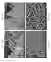 Fig. 45 - Zinc Oxide and Cobalt Oxide Nanostructures and Methods of Making Thereof