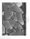 Fig. 46 - Zinc Oxide and Cobalt Oxide Nanostructures and Methods of Making Thereof