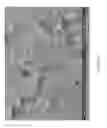 Fig. 50 - Zinc Oxide and Cobalt Oxide Nanostructures and Methods of Making Thereof