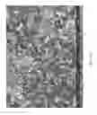 Fig. 52 - Zinc Oxide and Cobalt Oxide Nanostructures and Methods of Making Thereof