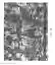 Fig. 56 - Zinc Oxide and Cobalt Oxide Nanostructures and Methods of Making Thereof