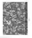 Fig. 60 - Zinc Oxide and Cobalt Oxide Nanostructures and Methods of Making Thereof