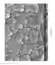 Fig. 62 - Zinc Oxide and Cobalt Oxide Nanostructures and Methods of Making Thereof