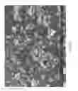 Fig. 64 - Zinc Oxide and Cobalt Oxide Nanostructures and Methods of Making Thereof