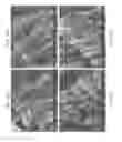Fig. 65 - Zinc Oxide and Cobalt Oxide Nanostructures and Methods of Making Thereof