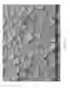 Fig. 66 - Zinc Oxide and Cobalt Oxide Nanostructures and Methods of Making Thereof