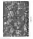 Fig. 68 - Zinc Oxide and Cobalt Oxide Nanostructures and Methods of Making Thereof