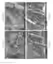 Fig. 69 - Zinc Oxide and Cobalt Oxide Nanostructures and Methods of Making Thereof