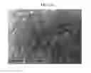 Fig. 02 - Cathode active material for lithium secondary batteries, method for preparing the same, and lithium secondary batteries comprising the same