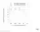 Fig. 02 - Ceramic material and use thereof