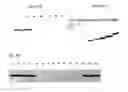 Fig. 04 - Binding protein and epitope-blocking ELISA for the universal detection of H5-subtype influenza viruses