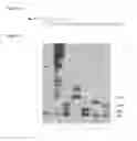 Fig. 03 - 2′-nitrobenzyl-modified ribonucleotides