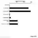 Fig. 06 - STEM CELL EXPRESSION CASSETTES