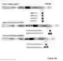 Fig. 10 - STEM CELL EXPRESSION CASSETTES