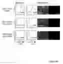 Fig. 17 - STEM CELL EXPRESSION CASSETTES