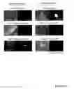 Fig. 18 - STEM CELL EXPRESSION CASSETTES