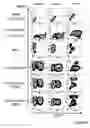 Fig. 19 - STEM CELL EXPRESSION CASSETTES