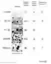 Fig. 27 - STEM CELL EXPRESSION CASSETTES