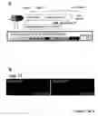 Fig. 42 - STEM CELL EXPRESSION CASSETTES
