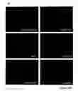 Fig. 49 - STEM CELL EXPRESSION CASSETTES