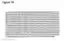 Fig. 51 - STEM CELL EXPRESSION CASSETTES