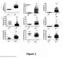 Fig. 02 - GENE SIGNATURES