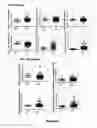 Fig. 09 - GENE SIGNATURES