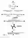 Fig. 02 - Magnetic-nanoparticle conjugates and methods of use