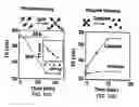 Fig. 09 - Magnetic-nanoparticle conjugates and methods of use