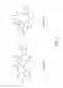 Fig. 02 - Asymmetrically branched polymer conjugates and microarray assays