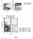 Fig. 02 - METHOD OF CONCENTRATING HUMAN MESENCHYMAL STEM CELLS
