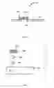 Fig. 02 - Method Of Rapid Detection Of An Analyte In Bodily Fluids Using A Fluorescent Dry Test Strip Biosensor