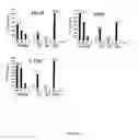 Fig. 02 - Copolymer assay