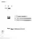 Fig. 06 - Recombinant production of authentic human proteins using human cell expression systems