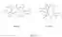 Fig. 02 - Asymmetrically branched polymer conjugates and microarray assays