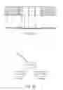 Fig. 06 - Asymmetrically branched polymer conjugates and microarray assays