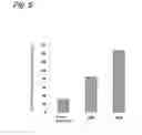 Fig. 06 - ENRICHMENT METHOD OF VIRUS