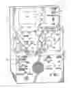 Fig. 01 - Apparatus and method for maintaining and/or restoring viability of organs