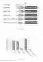 Fig. 07 - Novel promoter sequence and the application thereof