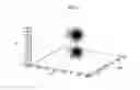 Fig. 03 - Methods for determining correlated residues in a protein or other biopolymer using molecular dynamics