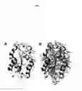 Fig. 06 - Methods for determining correlated residues in a protein or other biopolymer using molecular dynamics