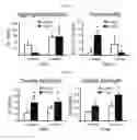 Fig. 05 - METHODS OF FABRICATING ENHANCED TISSUE-ENGINEERED CARTILAGE