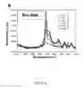 Fig. 13 - Detection of post-translationally modified peptides with liquid crystals
