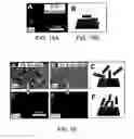Fig. 20 - Detection of post-translationally modified peptides with liquid crystals
