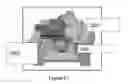 Fig. 35 - Assay device and method