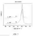 Fig. 07 - Plasma apparatus and method of fabricating nano-crystalline silicon thin film