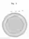 Fig. 07 - Wafer dividing apparatus and methods
